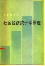 社会经济统计学原理