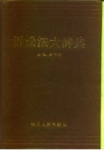 诉讼法大辞典