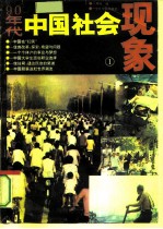90年代中国社会现象