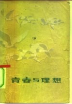 青春与理想 寄语新长征的年轻战士