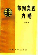 审判实践方略