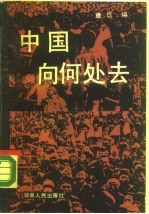中国向何处去 海内外学者看中国改革