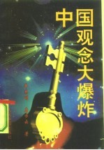 中国观念大爆炸