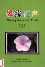 攀缘花卉