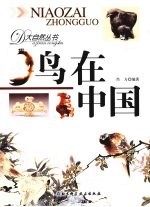 鸟在中国