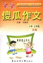 新新傻瓜作文 小学三年级 A版