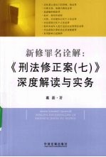 新修罪名诠解 《刑法修正案(七)深度解读与实务》