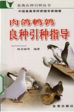 肉鸽 鹌鹑良种引种指导