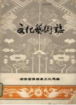 文化艺术志