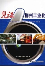 见证柳州工业化:柳州着力打造广西工业化示范城市新闻作品集