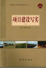 项目建设写实 上