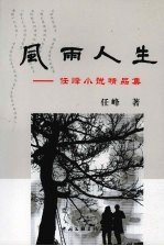 风雨人生:任峰小说精品集