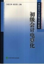 初级会计电算化