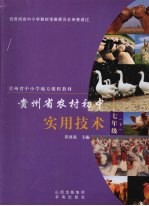 贵州省农村初中实用技术 七年级 下