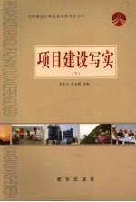 项目建设写实 下