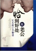 恰到好处做老公 丈夫的12月物语