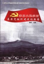 来自大姚农村基层党组织建设的报告