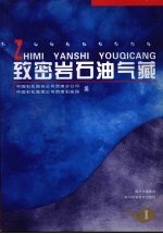 致密岩石油气藏 1