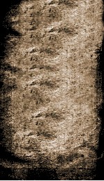栾城集 11