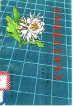 马金星歌词钢笔字帖