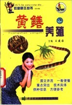 黄鳝养殖