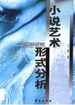 小说艺术形式分析 叙事学研究