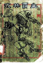 武林霸主 上