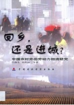 回乡,还是进城? 中国农村外出劳动力回流研究