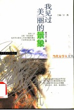 我见过美丽的景象