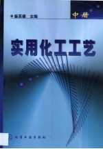 实用化工工艺 中
