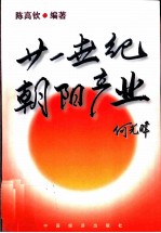 21世纪朝阳产业