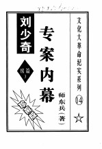 刘少奇专案内幕