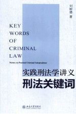 实践刑法学讲义刑法关键词=KEY WORDS OF CRIMINAL LAW