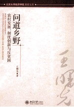 问道乡野:农村发展、制度创新与反贫困=rural development