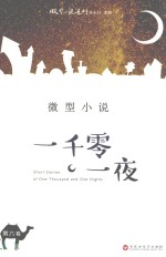 微型小说一千零一夜 第6卷