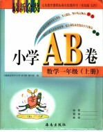 大象专题研究:教材精讲与中考试题研究.初中数学.方程与不等式