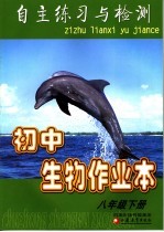 划过心空的痕迹