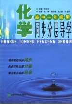 化学同步分层导学 高中一年级 修订版