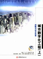 城市数字化工程 上 战略与技术政策