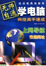 无师自通学电脑 网络高手速成 下