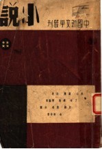 小说 4
