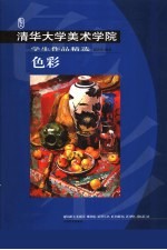 清华大学美术学院学生作品精选 色彩