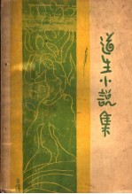 道生小说集