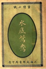 言情小说 水底鸳鸯 第2版
