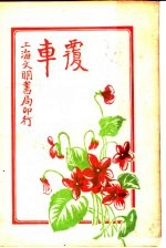 侦探小说 覆车