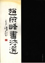 赵险峰书法选