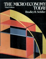 THE MICRO ECONOMY TODAY:THIRD EDITION