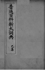 普通百科新大词典 已集