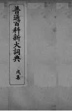 普通百科新大词典 戌集
