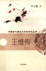 王维传 上